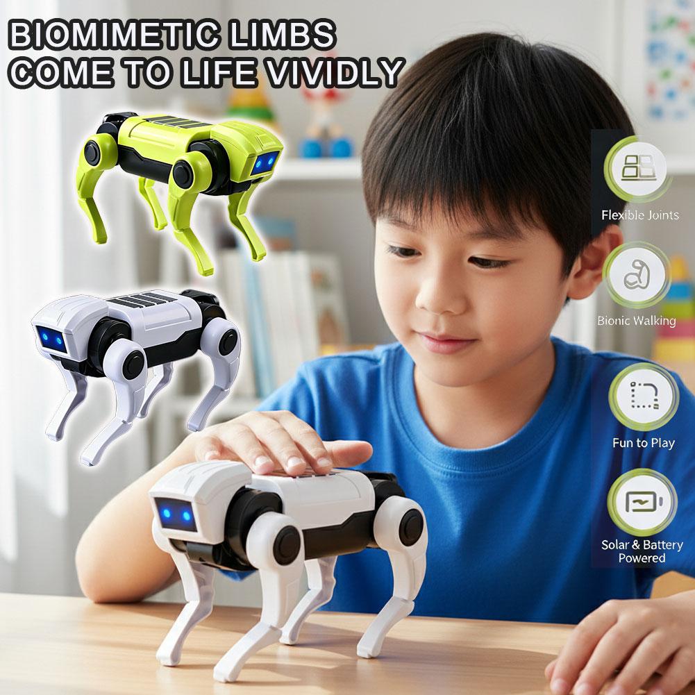 ชุดของเล่นรางลูกแก้วไม้ 3 มิติ - Marble Run Set บทวิจารณ์และราคา